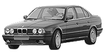 BMW E34 P0A00 Fault Code
